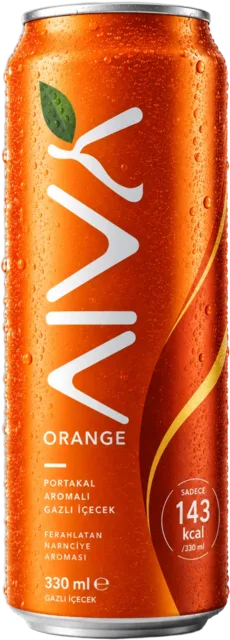 AIVA Orange kutu mockup'ı